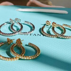 Tiffany Earrings 316